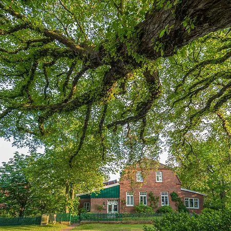 Luetjes Glueck Spiekeroog